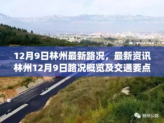 林州最新路況資訊，12月9日交通概覽及要點解析