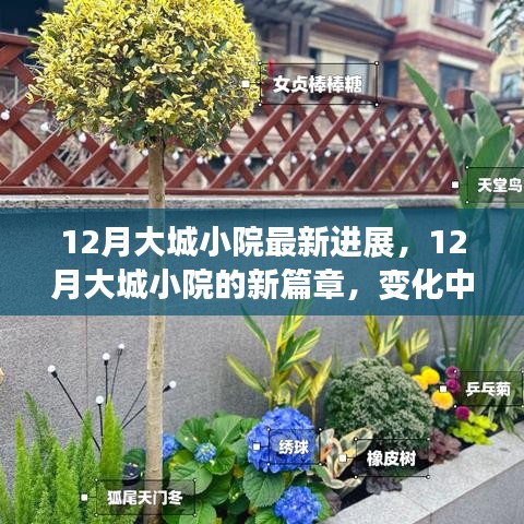 12月大城小院新進展，變化中的學(xué)習(xí)，自信與成就感的綻放
