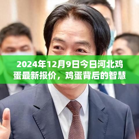 河北雞蛋最新報(bào)價背后的智慧，學(xué)習(xí)變化，自信成就未來（2024年12月9日）