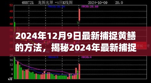 揭秘高效生態(tài)捕捉黃鱔新方法，2024年最新捕捉技巧分享。