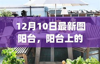 陽臺上的溫馨日常，陽光下的故事，12月10日的獨特時光