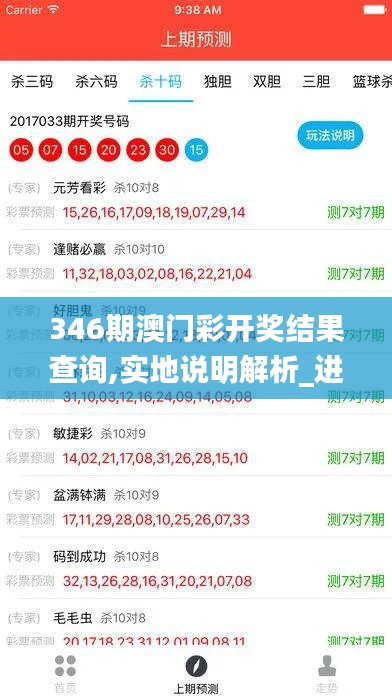 346期澳門(mén)彩開(kāi)獎(jiǎng)結(jié)果查詢,實(shí)地說(shuō)明解析_進(jìn)階版3.999