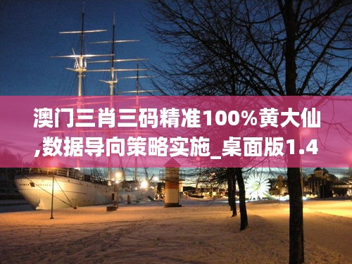 澳門三肖三碼精準100%黃大仙,數(shù)據(jù)導向策略實施_桌面版1.405