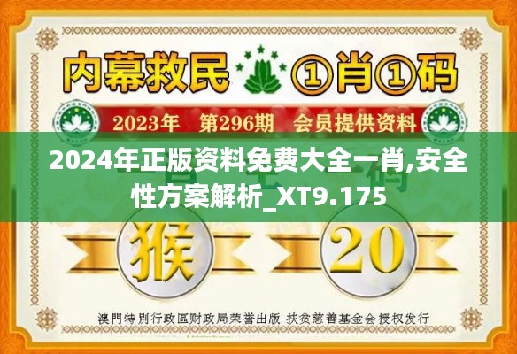 2024年正版資料免費大全一肖,安全性方案解析_XT9.175