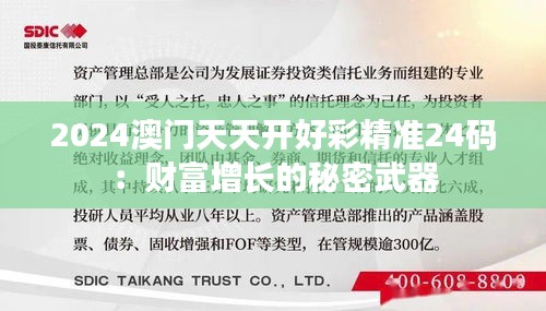 2024澳門天天開好彩精準(zhǔn)24碼：財(cái)富增長(zhǎng)的秘密武器