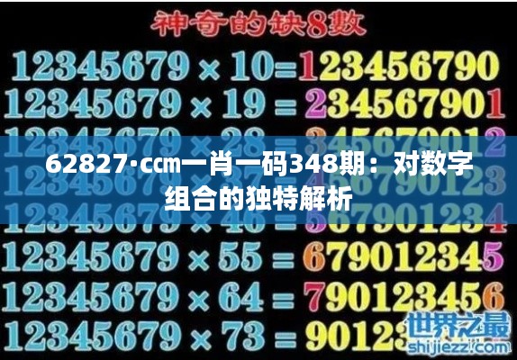 62827·c㎝一肖一碼348期：對(duì)數(shù)字組合的獨(dú)特解析
