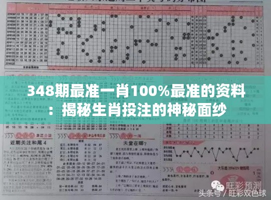 348期最準一肖100%最準的資料：揭秘生肖投注的神秘面紗