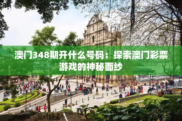 澳門348期開什么號(hào)碼：探索澳門彩票游戲的神秘面紗