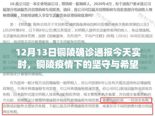 銅陵疫情下的堅(jiān)守與希望，最新實(shí)時(shí)確診通報(bào)觀察