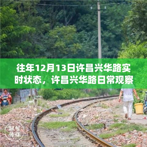 許昌興華路12月13日實(shí)時(shí)狀態(tài)回顧與日常觀察指南，獲取往年實(shí)時(shí)狀態(tài)解析