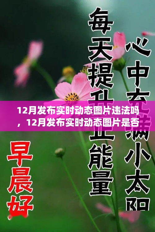 解讀，實時動態(tài)圖片發(fā)布是否違法？關于12月發(fā)布實時動態(tài)圖片的法規(guī)與案例分析