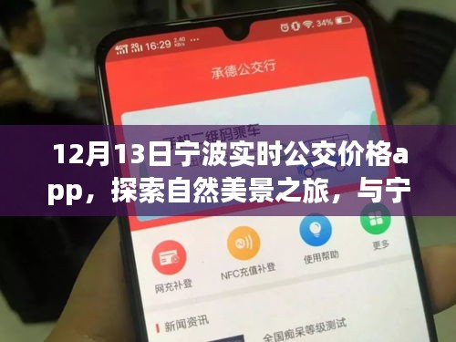 寧波實(shí)時(shí)公交價(jià)格app，探索自然美景與內(nèi)心寧?kù)o之旅