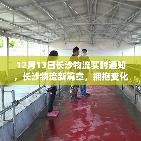 長沙物流新篇章，擁抱變化，共舞奇跡