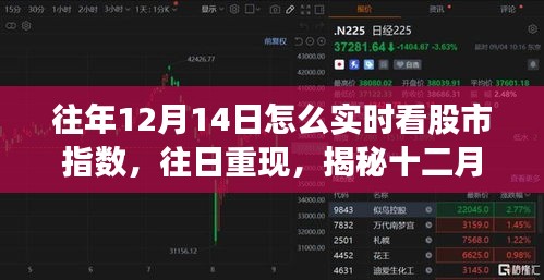 揭秘十二月十四日股市指數(shù)的實時觀察之旅，歷史數(shù)據(jù)與當日重現(xiàn)分析