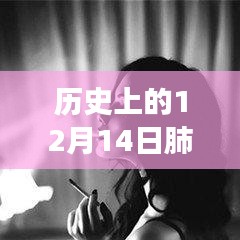 歷史上的十二月十四日，肺炎動態(tài)壁紙與動漫壁紙店的探秘之旅