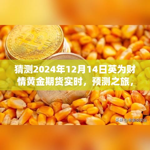 解讀英為財(cái)情黃金期貨市場(chǎng)展望，預(yù)測(cè)黃金期貨未來走勢(shì)，探尋黃金市場(chǎng)趨勢(shì)——聚焦2024年12月14日實(shí)時(shí)動(dòng)態(tài)分析之旅