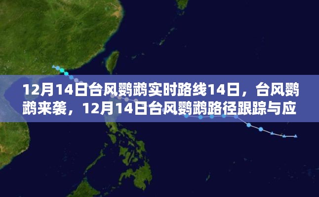 臺(tái)風(fēng)鸚鵡來襲，應(yīng)對(duì)指南與實(shí)時(shí)路徑跟蹤（初學(xué)者與進(jìn)階用戶版）