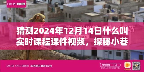 探秘實(shí)時(shí)課程課件視頻，小巷深處的寶藏與特色小店的奇妙邂逅，2024年12月14日的探索之旅