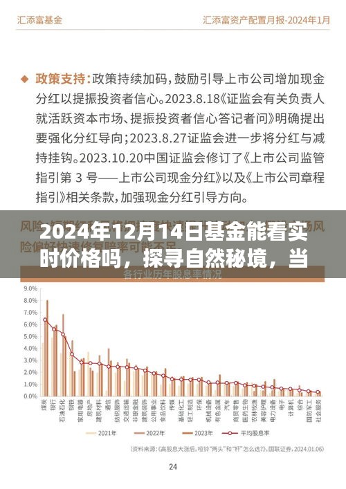 探尋自然秘境與基金實時價格之旅，一場心靈與財富的奇妙交融