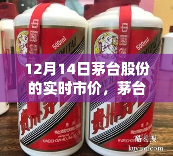 茅臺(tái)股份實(shí)時(shí)市價(jià)與心靈平和之旅，與自然美景的邂逅