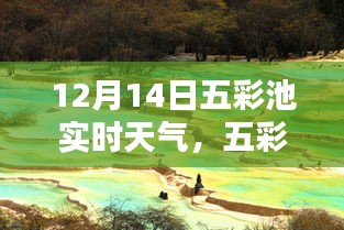 天氣狀況