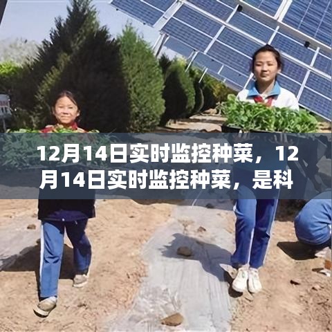 科技賦能還是過度干預(yù)？種菜實(shí)時(shí)監(jiān)控引發(fā)爭(zhēng)議。
