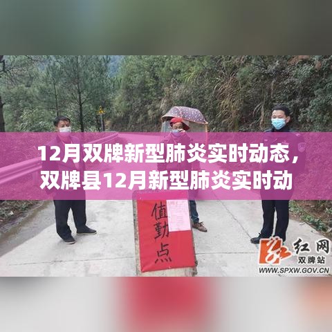 雙牌縣十二月新型肺炎實(shí)時(shí)動(dòng)態(tài)概覽，背景、進(jìn)展與影響分析