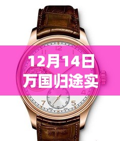 12月14日萬國歸途實(shí)時票房深度解析，表現(xiàn)、特性、體驗(yàn)、競品對比及用戶群體全面剖析