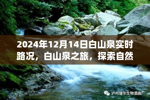 探索自然美景
