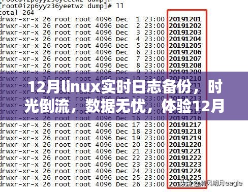 體驗(yàn)Linux實(shí)時(shí)日志備份前沿科技魅力，時(shí)光倒流無憂數(shù)據(jù)保障在十二月