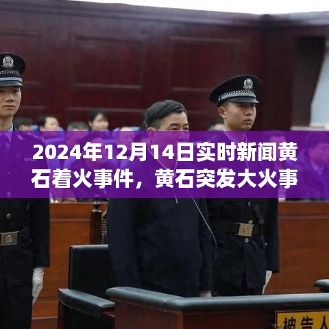 黃石大火突發(fā)，全面解讀2024年12月14日實(shí)時(shí)新聞。