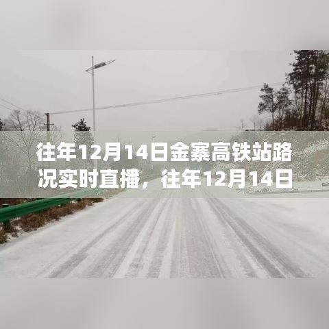 往年12月14日金寨高鐵站路況實時直播，深度評測與詳細(xì)介紹
