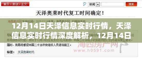 天澤信息實時行情解析，深度剖析與特殊篇章（12月14日）