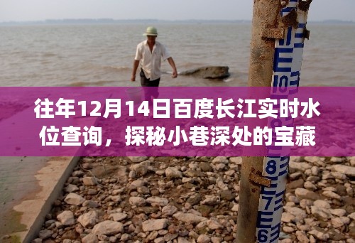 百度長(zhǎng)江水位查詢背后的秘密，小巷寶藏與實(shí)時(shí)水位數(shù)據(jù)探秘