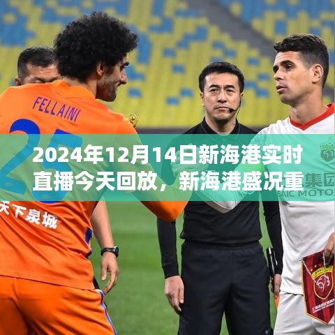 2024年12月14日新海港盛況重現(xiàn)，實(shí)時(shí)直播日回顧與回放