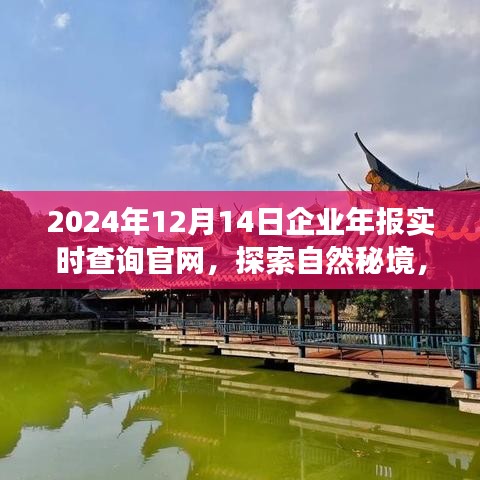 探索自然秘境，啟程尋找內(nèi)心寧靜與平和，企業(yè)年報實時查詢官網(wǎng)，開啟您的2024年報查詢之旅