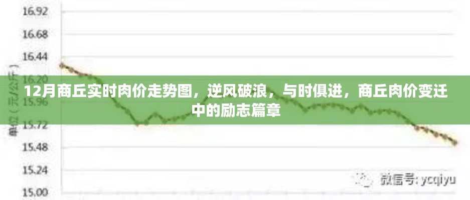 商丘肉價變遷，逆風破浪的勵志篇章與實時走勢解析