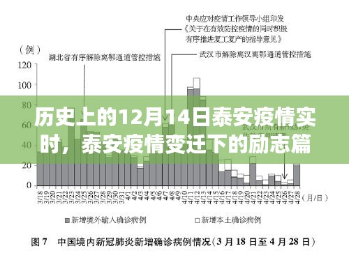泰安疫情變遷下的勵(lì)志篇章，學(xué)習(xí)之光照亮未來之路的抗疫歷程