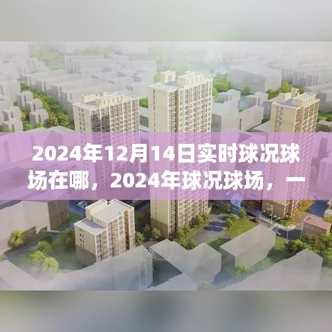 歷史與未來的交匯，揭秘2024年球況球場實(shí)時動態(tài)與地點(diǎn)