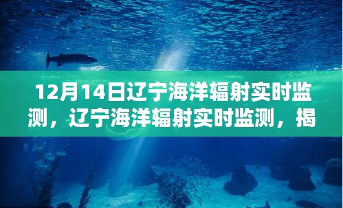揭秘科技力量與環(huán)保責(zé)任，遼寧海洋輻射實(shí)時(shí)監(jiān)測詳解（要點(diǎn)詳解）