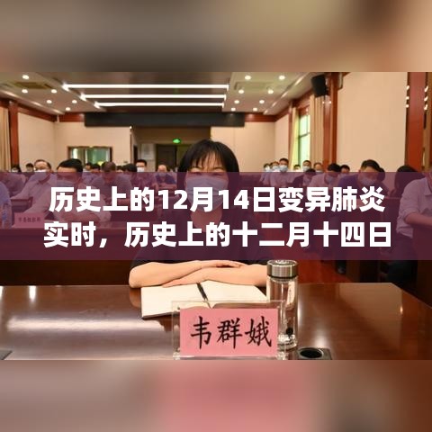 歷史上的十二月十四日，變異肺炎背后的勵志故事與成長力量實(shí)時追蹤