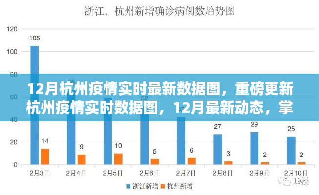 12月杭州疫情實時數(shù)據(jù)圖更新，掌握最新動態(tài)，共筑健康防線