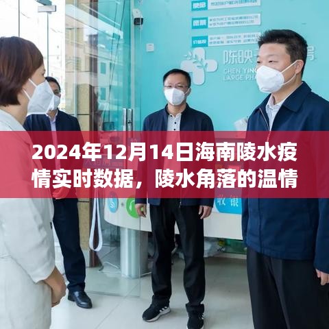 海南陵水疫情下的溫情角落，愛與陪伴的日常故事（實時數(shù)據(jù)報告）