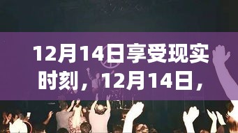 12月14日，與自然共舞，尋找內(nèi)心平靜的奇妙之旅