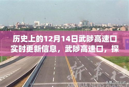 武陟高速口，探尋自然美景的啟程之地，揭秘歷史與未來，奇妙旅程盡在12月14日