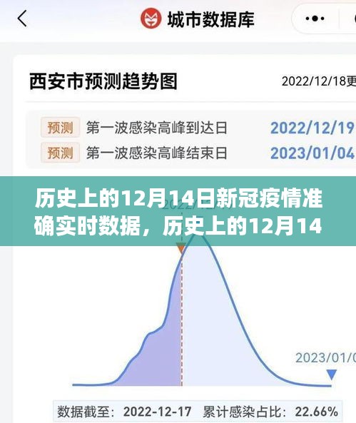 歷史上的12月14日新冠疫情實時數(shù)據(jù)解析與產(chǎn)品評測