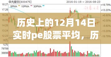 探尋PE股票背后的自然秘境之旅，歷史上的12月14日實時平均數(shù)據(jù)解析