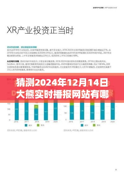 預(yù)測未來，探索大熊實(shí)時(shí)播報(bào)網(wǎng)站在2024年12月14日的形態(tài)