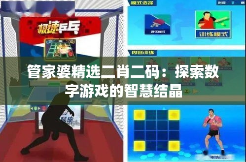 管家婆精選二肖二碼：探索數(shù)字游戲的智慧結(jié)晶