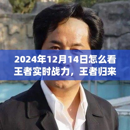 王者歸來，探尋自然美景之旅與解鎖內心平靜之力，實時戰(zhàn)力指南（2024年12月14日）